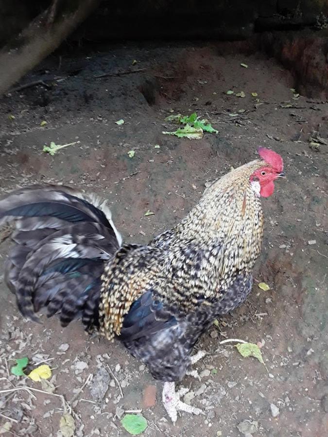수자노 Casa Ikeda 빌라 외부 사진